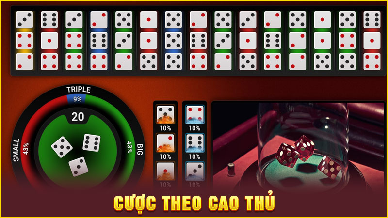 cược theo cao thủ