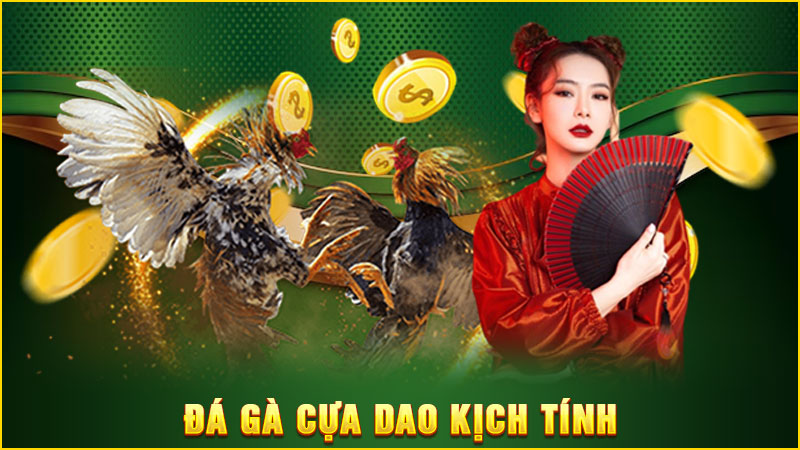 đá gà cựa dao kịch tính