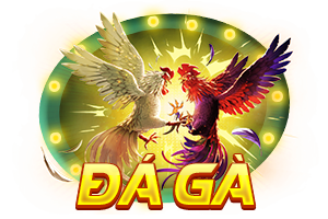 đá gà tk88