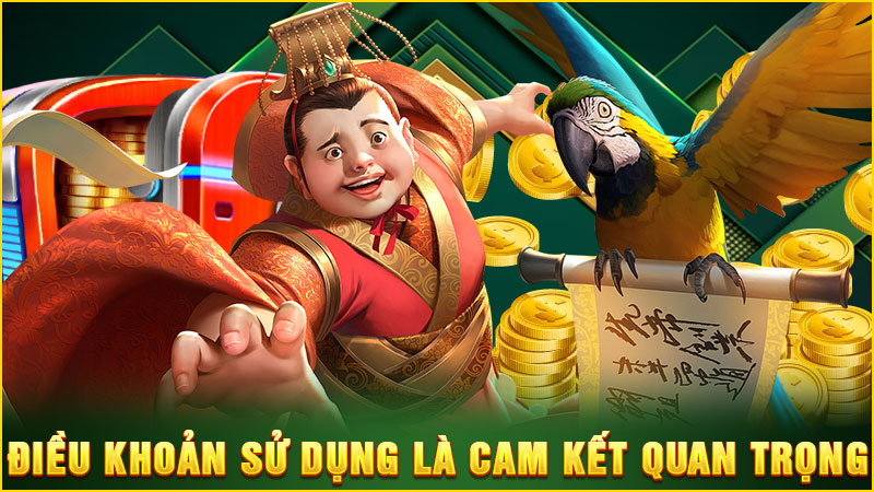 điều khoản sử dụng là cam kết quan trọng