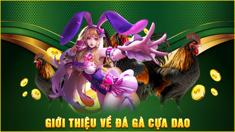 giới thiệu về đá gà cựa dao