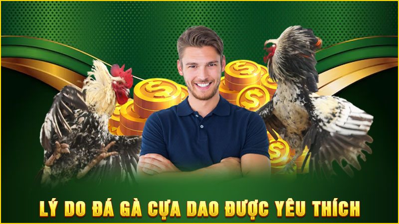 lý do đá gà cựa dao được yêu thích